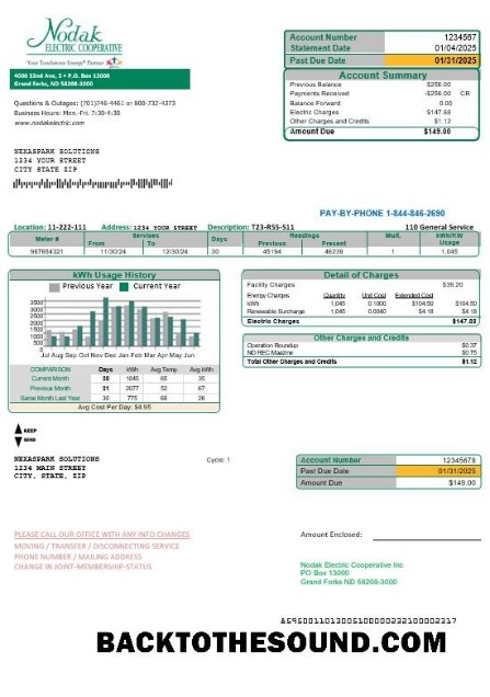 Scarica USA North Dakota Nodak Electric Cooperative Affari Bolletta Bolletta in Word and PDF Formati Campione anteprima