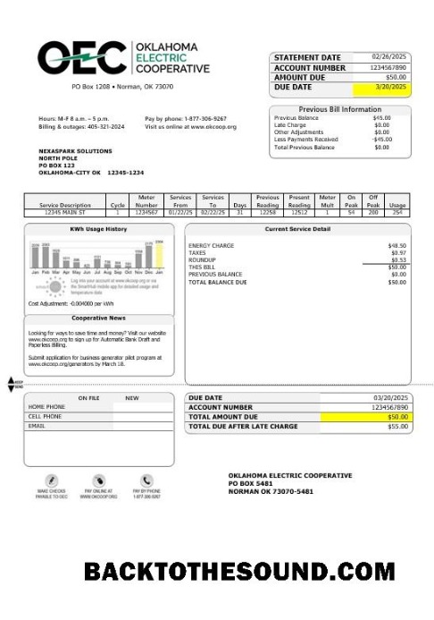 Scarica USA OEC Elettricità Affari Bolletta Bolletta in Word and PDF Formati Campione anteprima