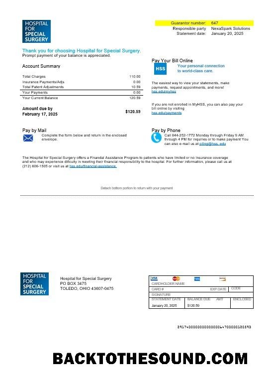 Scarica USA Ohio Hospital For Special Surgery Affari Bolletta Bolletta in Word and PDF Formati Campione anteprima