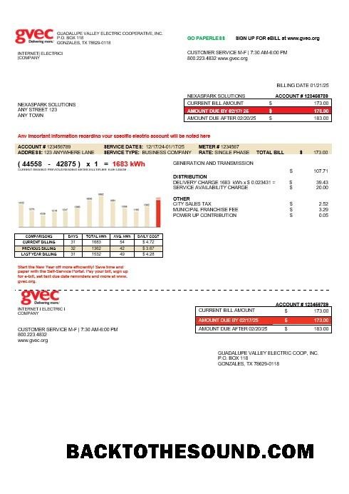 Scarica USA Texas GVEC Affari Bolletta Bolletta in Word and PDF Formati Campione campione