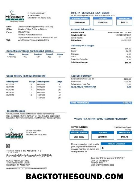 Scarica USA Texas McKinney Affari Bolletta Bolletta in Word and PDF Formati Campione anteprima