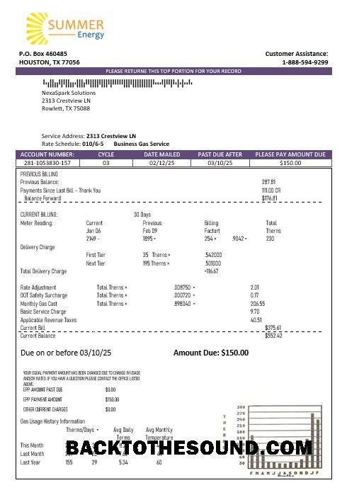 Scarica USA Texas Summer Energy easy fillable Affari Bolletta Bolletta in Word and PDF Formati Campione modello
