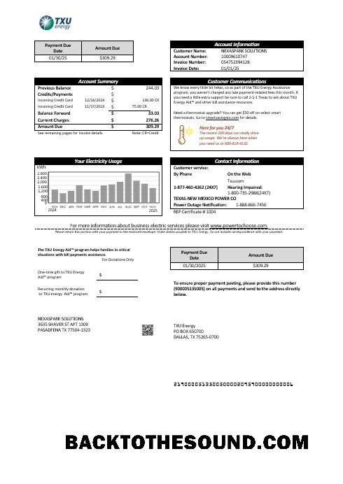 Scarica USA Texas TXU Energy Affari Bolletta Bolletta in Word and PDF Formati Campione design