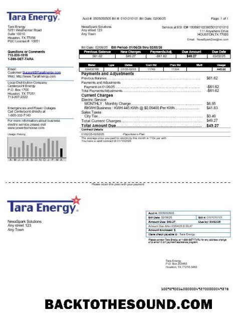 Scarica USA Texas Tara Energy Affari Bolletta Bolletta in Word and PDF Formati Campione modello