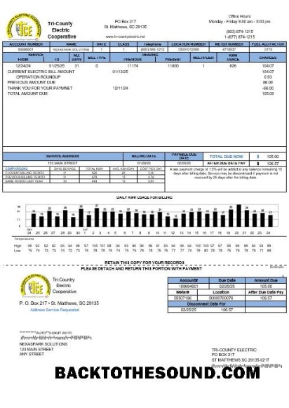 Scarica USA Tri County Electric Cooperative Affari Bolletta Bolletta in Word and PDF Formati Campione campione