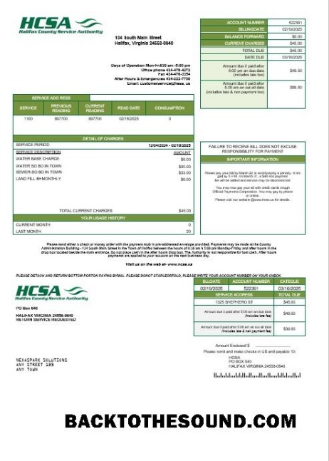 Scarica USA Virginia HCSA Affari Bolletta Bolletta in Word and PDF Formati Campione design