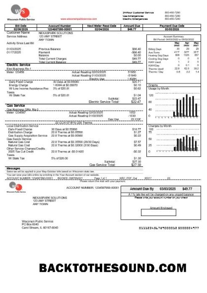 Scarica USA WPS Affari Bolletta Bolletta in Word and PDF Formati Campione design