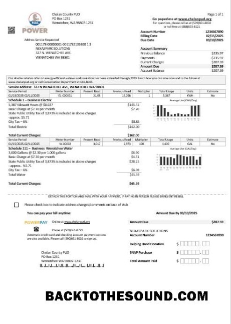 Scarica USA Washington Chelan County PUD Affari Bolletta Bolletta in Word and PDF Formati Campione modello