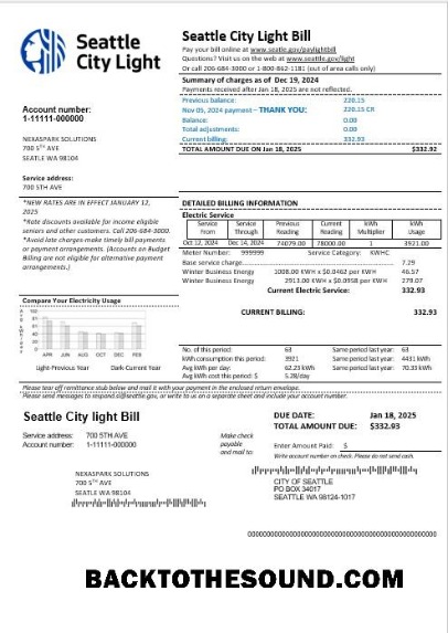 Scarica USA Washington Seattle City Light Affari Bolletta Bolletta in Word and PDF Formati Campione campione