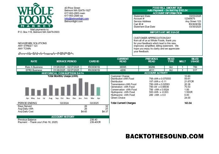 Scarica USA Whole Foods Market Affari Bolletta Bolletta in Word and PDF Formati Campione anteprima
