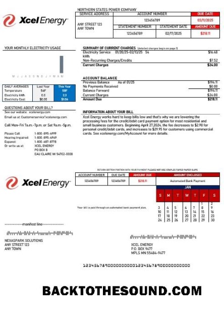 Scarica USA Xcel Energy Affari Bolletta Bolletta Word and PDF Campione mockup