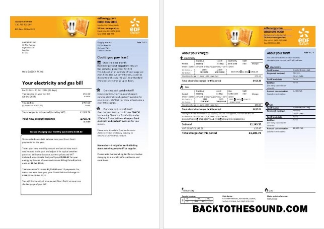 Scarica Regno Unito EDF Affari Bolletta Bolletta in Word and PDF Formati, 3 pages Campione design