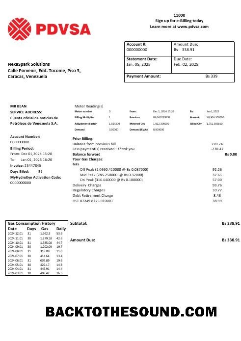 Scarica Venezuela PDVSA Gas Affari Bolletta Bolletta in Word and PDF Formati Campione campione