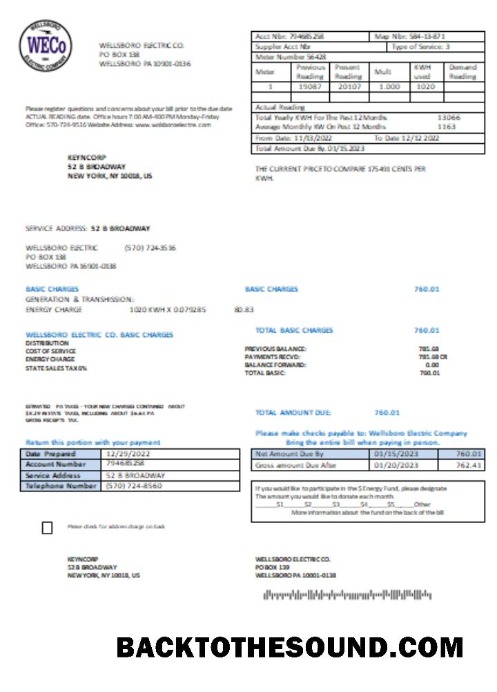 Scarica Wellsboro Electric Co Bolletta Affari Bolletta, SCR Campione modello