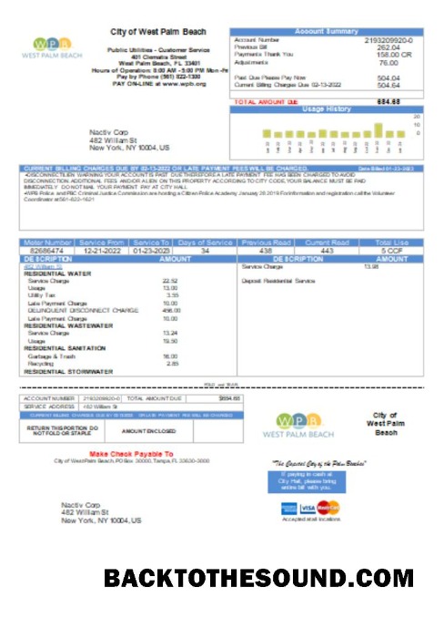 Scarica West Palm Beach Pub Utilities Bolletta Affari Bolletta SCR Campione anteprima