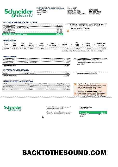 Scarica Yemen Schneider Electric Affari Bolletta Bolletta in Word and PDF Formati Campione anteprima