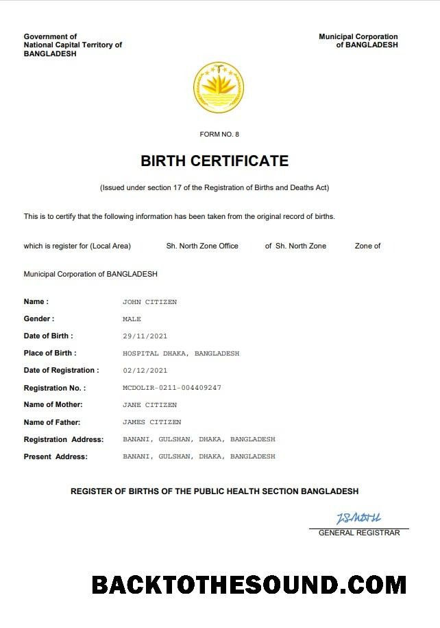 İndir Bangladeş vital record doğum Sertifika Word and PDF Örnek şablon