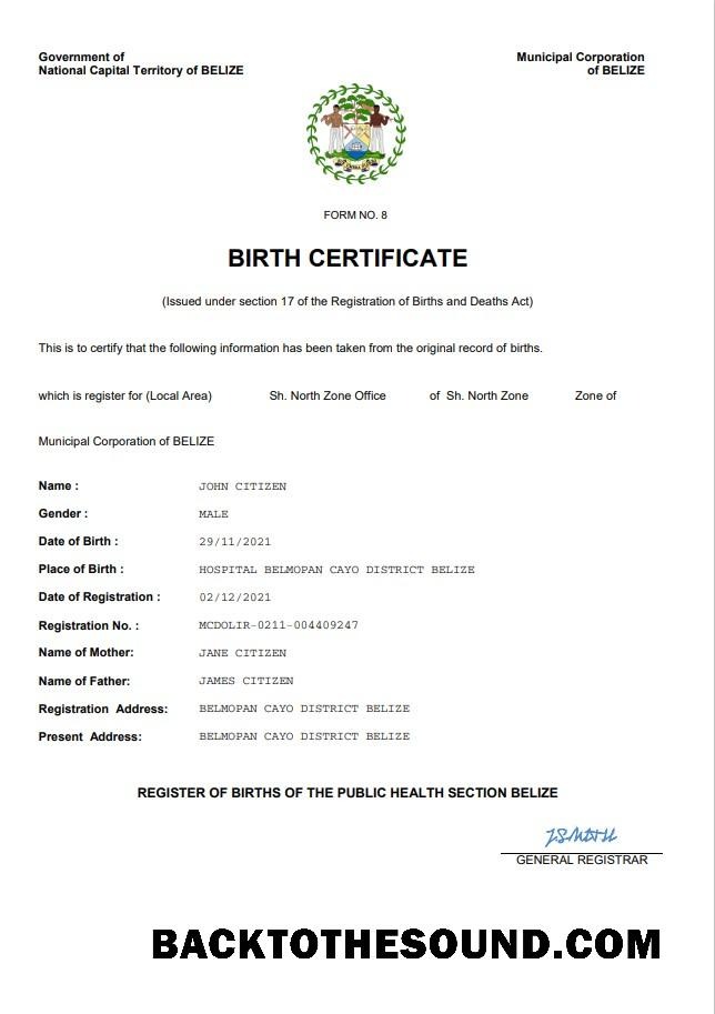 İndir Belize vital record doğum Sertifika Word and PDF Örnek taslak