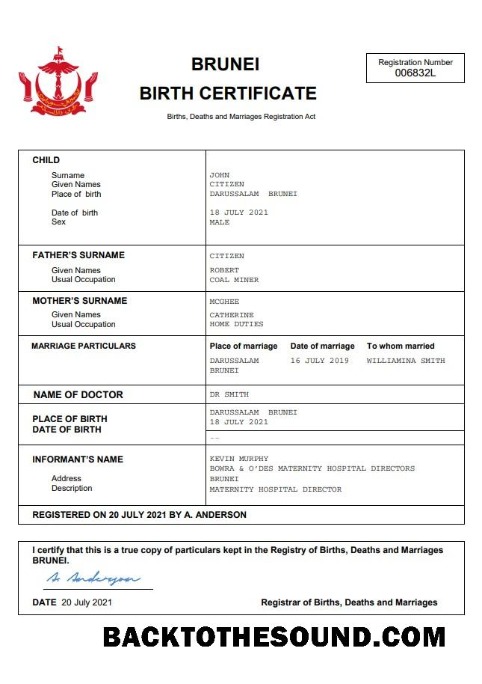 İndir Brunei vital record doğum Sertifika Word and PDF Örnek taslak