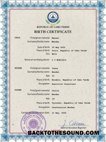 İndir Yeşil Burun vital record doğum Sertifika PSD Örnek şablon