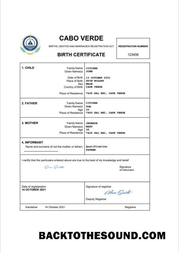 İndir Yeşil Burun vital record doğum Sertifika Word and PDF Örnek şablon