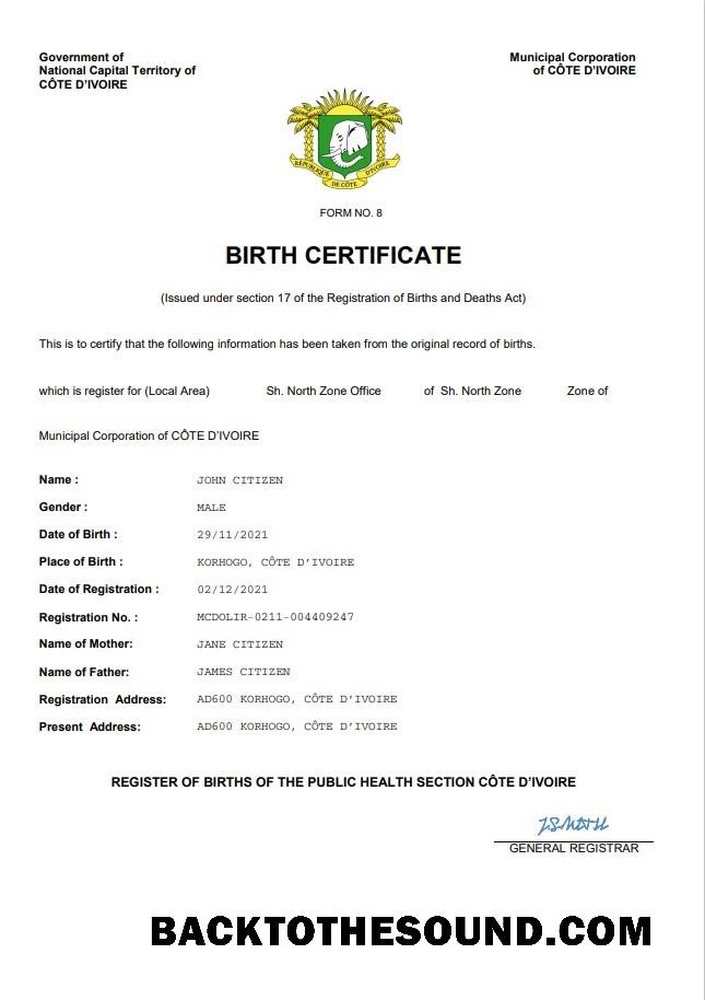 İndir Cote d’Ivoire vital record doğum Sertifika Word and PDF Örnek ön izleme