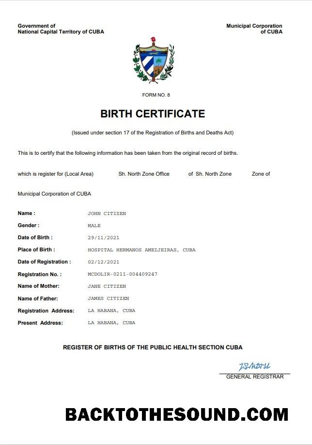 İndir Küba vital record doğum Sertifika Word and PDF Örnek ön izleme