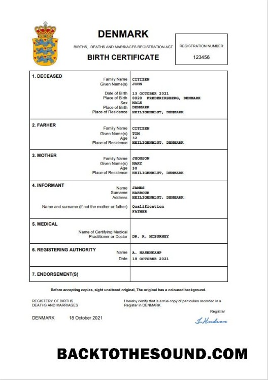 İndir Danimarka vital record doğum Sertifika Word and PDF Örnek şablon
