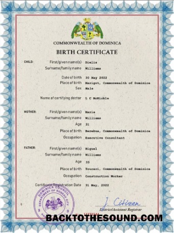 İndir Dominika vital record doğum Sertifika PSD Örnek şablon