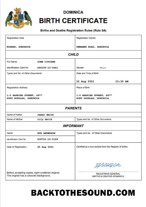 İndir Dominika vital record doğum Sertifika Word and PDF Örnek tasarım