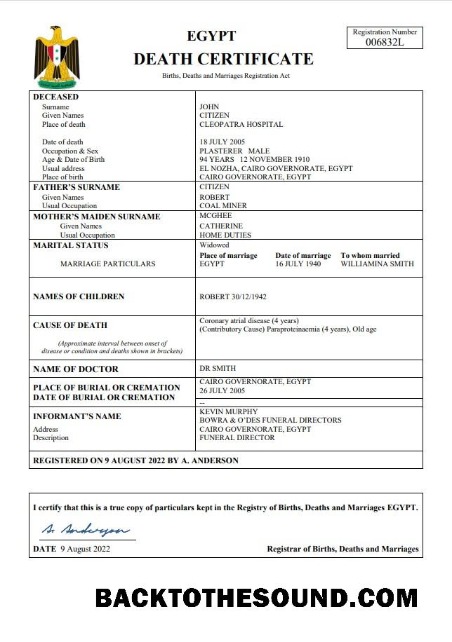 İndir Mısır vital record ölüm Sertifika Word and PDF Örnek ön izleme