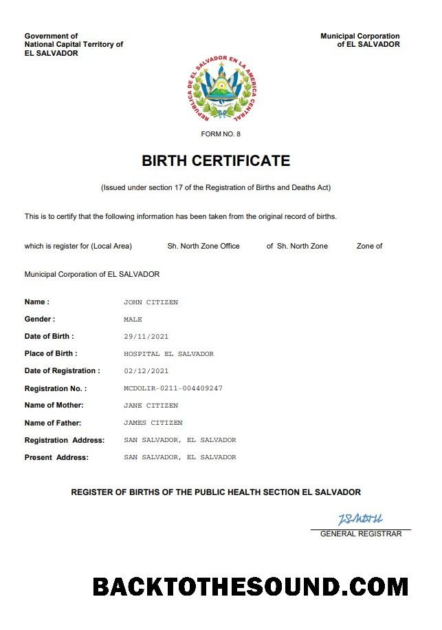 İndir El Salvador vital record doğum Sertifika Word and PDF Örnek tasarım