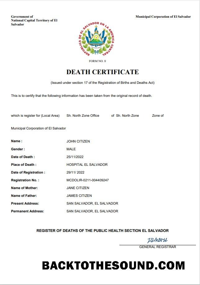 İndir El Salvador vital record ölüm Sertifika Word and PDF Örnek örnek
