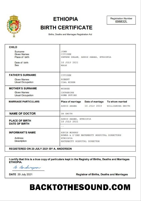 İndir Etiyopya vital record doğum Sertifika Word and PDF Örnek ön izleme