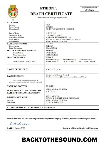 İndir Etiyopya vital record ölüm Sertifika Word and PDF Örnek taslak
