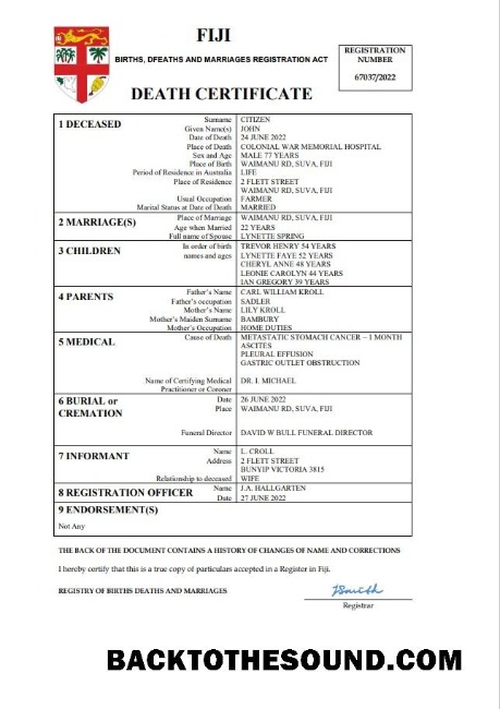 İndir Fiji vital record ölüm Sertifika Word and PDF Örnek şablon