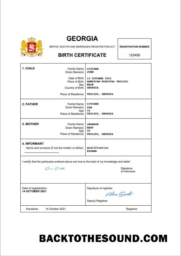 İndir Gürcistan vital record doğum Sertifika Word and PDF Örnek şablon