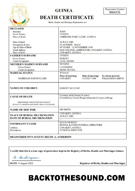 Yüksek Kalite İndir Gine ölüm Sertifika Word and PDF Şablon, Örnek