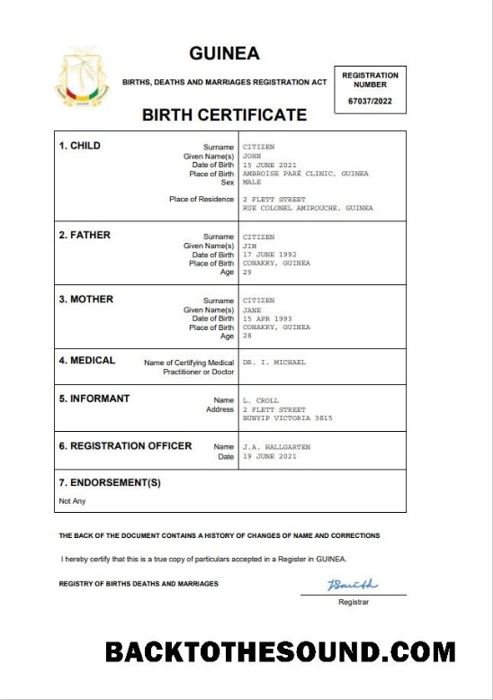 İndir Gine vital record doğum Sertifika Word and PDF Örnek şablon
