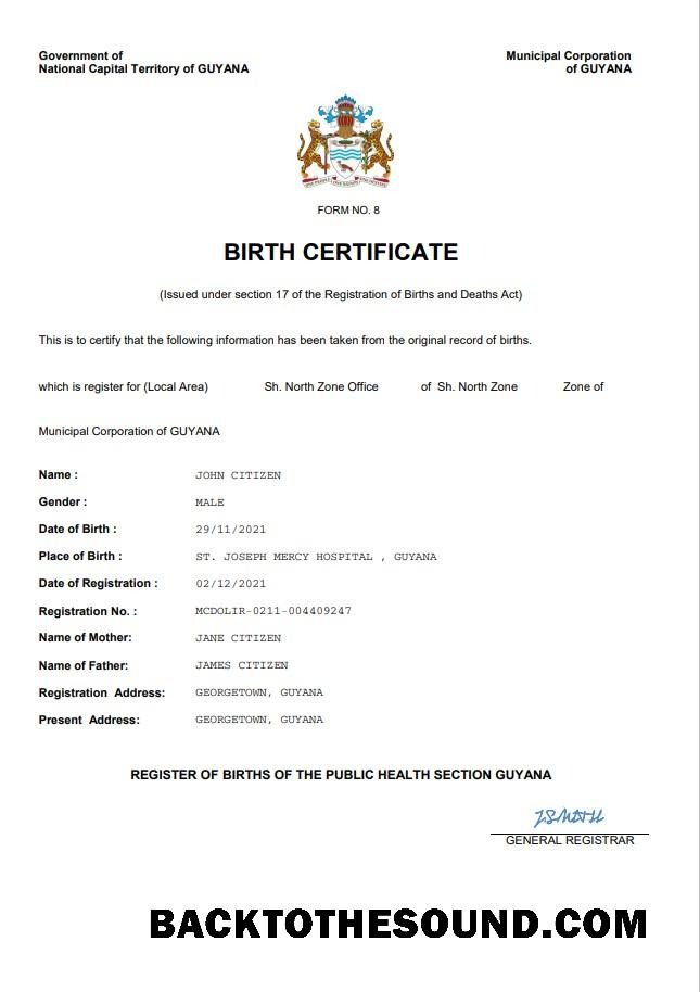 İndir Guyana vital record doğum Sertifika Word and PDF Örnek taslak
