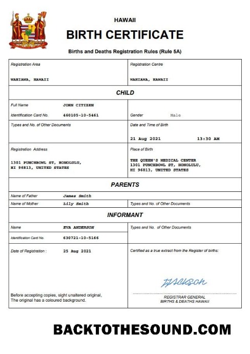 İndir Hawaii doğum Sertifika Word and PDF Örnek ön izleme