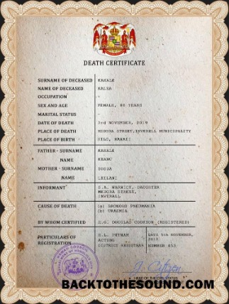 İndir Hawaii vital record ölüm Sertifika PSD Örnek örnek