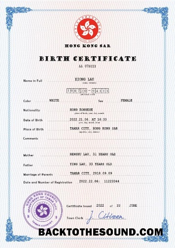 İndir Hong Kong vital record doğum Sertifika PSD Örnek taslak