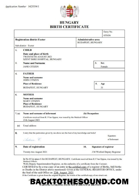 İndir Macaristan vital record doğum Sertifika Word and PDF Örnek ön izleme