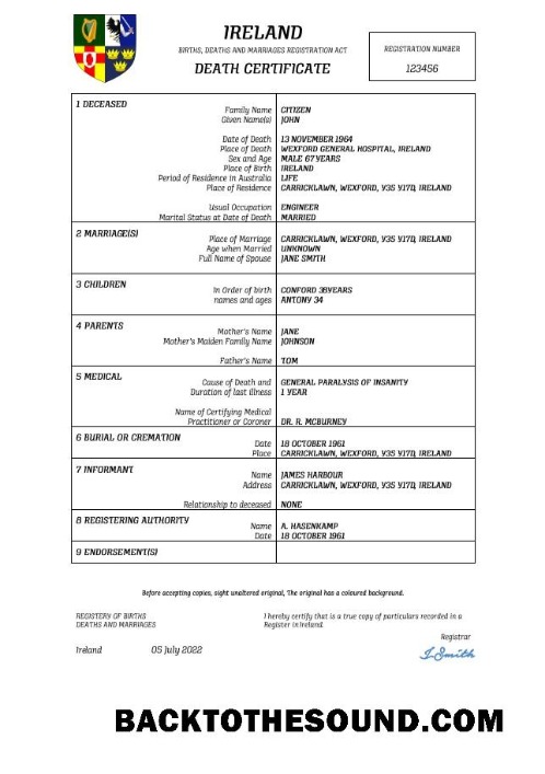 İndir İrlanda vital record ölüm Sertifika Word and PDF Örnek şablon
