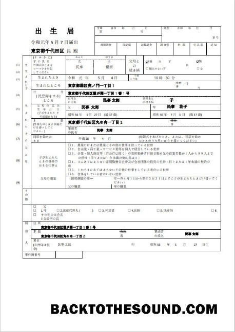 Profesyonel İndir Japonya doğum Sertifika (日本の出生証明書) Word and PDF Şablon, fully Düzenlenebilir Örnek