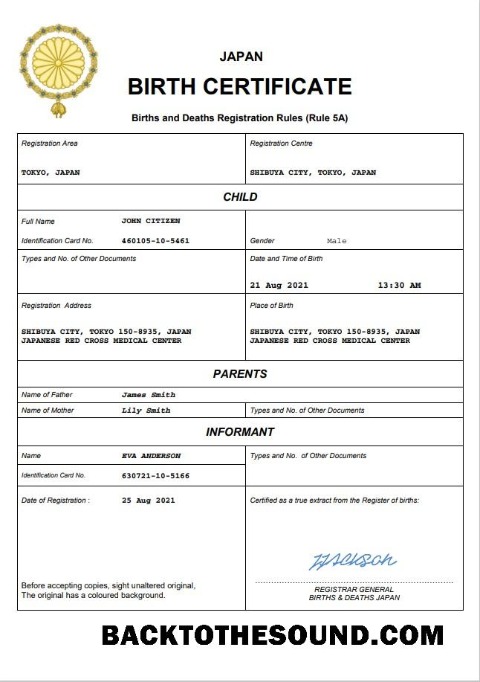 Düzenlenebilir İndir Japonya doğum Sertifika Word and PDF Şablon, completely Düzenlenebilir Örnek