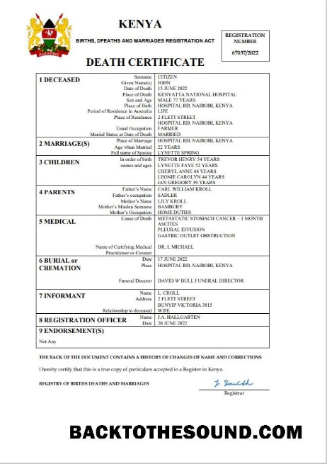 İndir Kenya vital record ölüm Sertifika Word and PDF Örnek ön izleme