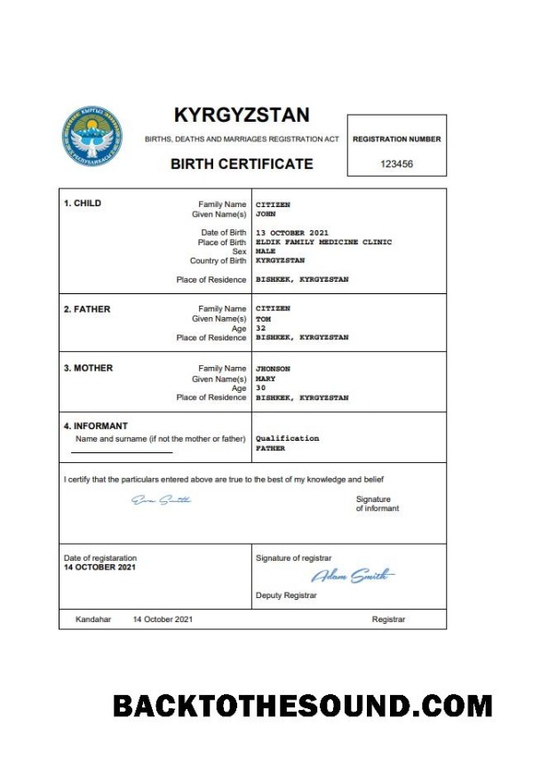İndir Kırgızistan doğum Sertifika Word and PDF Örnek şablon