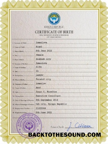 İndir Kırgızistan vital record doğum Sertifika PSD Örnek taslak